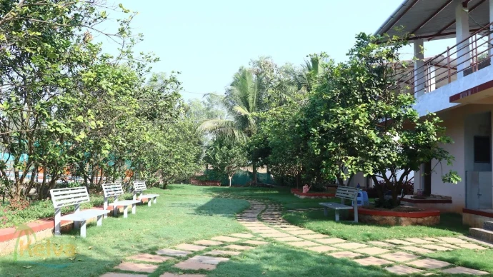 A wide, sunlit backyard featuring a flat, well-maintained lawn bordered by high hedges and mature trees. This space offers a clear, open area suitable for outdoor activities or future landscaping projects. 